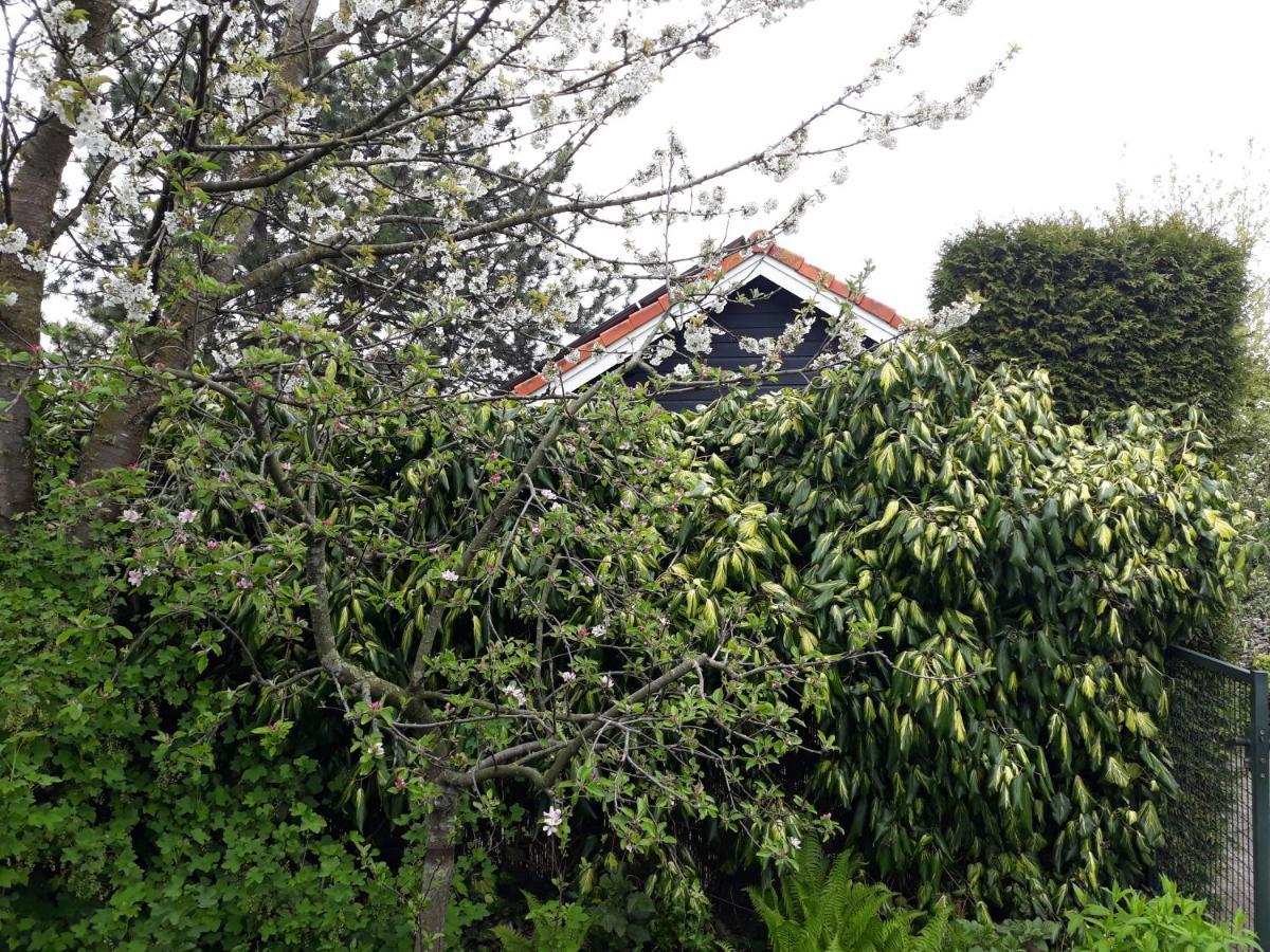 Villa Achter Odiliapeel Exterior foto